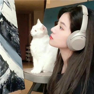 风中战士